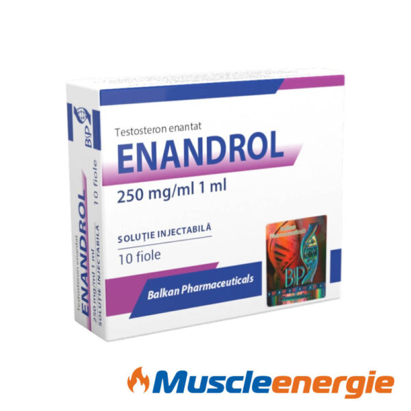 Acheter Enandrol 250mg/ml – Balkan Pharmaceuticals Acheter Enandrol 250mg/ml – Balkan Pharmaceuticals