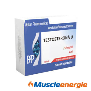 Acheter Testosterona U 250mg/ml – Balkan Pharmaceuticals