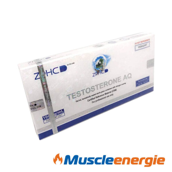 Acheter Testosterone AQ 100mg/ml – ZPHC