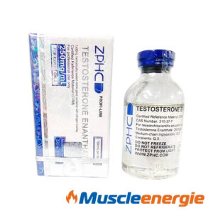 Acheter Testosterone Enanthate 250mg/ml 30 ml Flacon – ZPHC