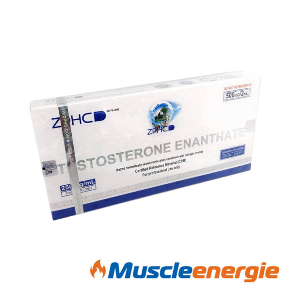 Acheter Testosterone Enanthate 250mg/ml 2 ml – ZPHC