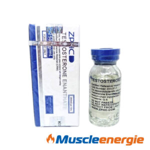 Acheter Testosterone Enanthate 250mg/ml Flacon – ZPHC