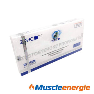 Acheter Testosterone Propionate 100mg/ml – ZPHC
