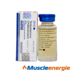 Acheter Testosterone Undecanoate 250mg/ml Flacon – ZPHC